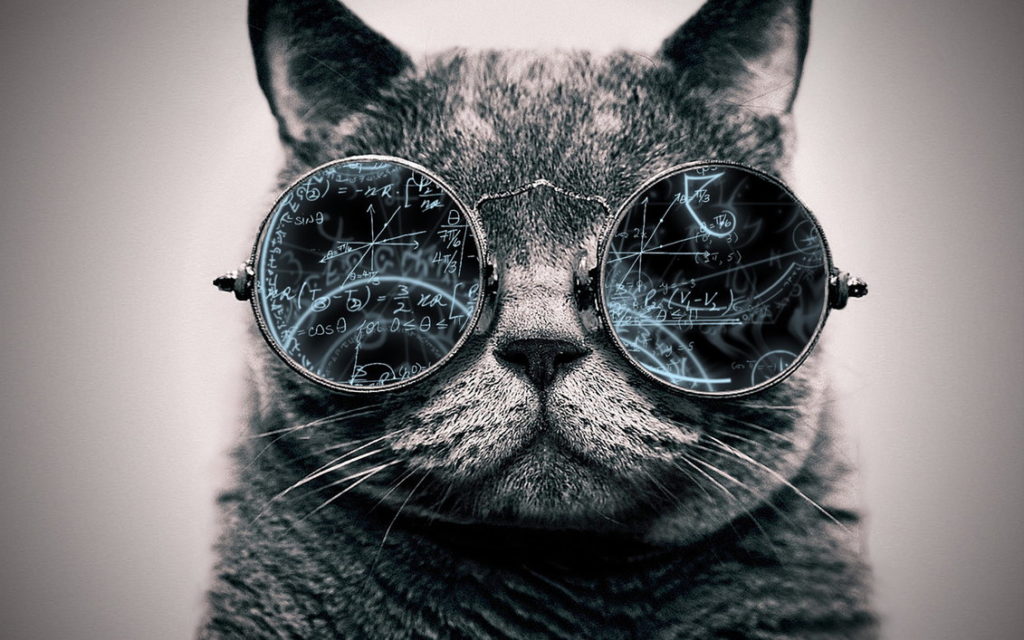cool_cat__genius_by_tovalhalla-d95cisd